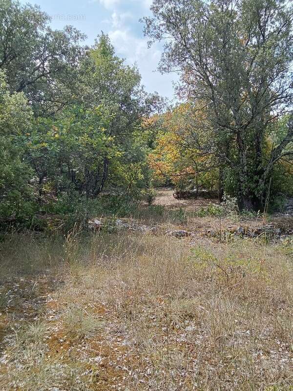 Très beau terrain constructible plein sud. - photo 10