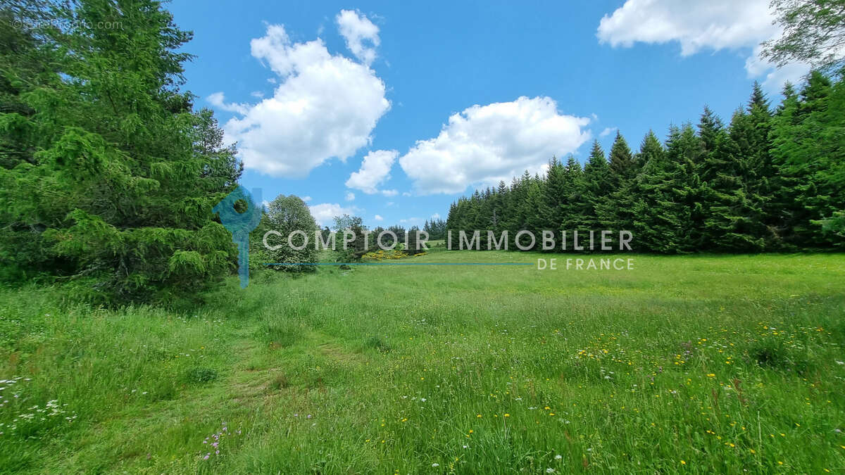 Dépt.(07) - A VENDRE Secteur Le LAC D'ISSARLES - Propriété de 56 ha avec Maison de 270 m2 et Ferme de 340 m2 - photo 17