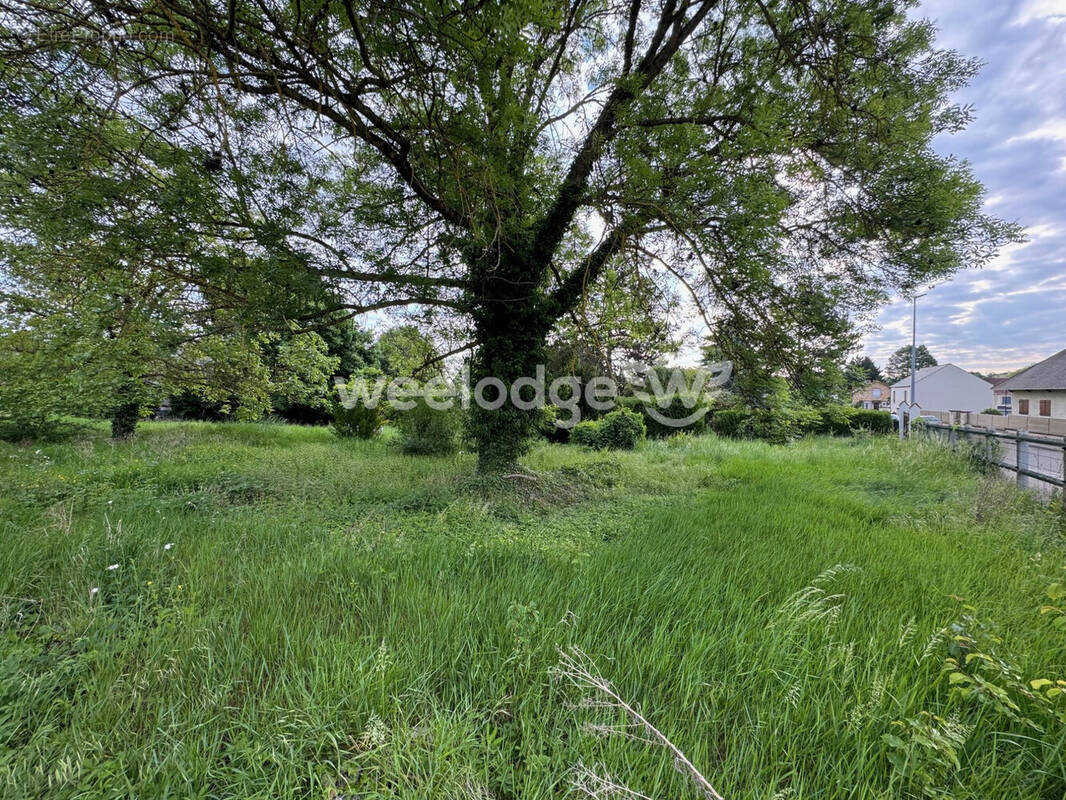 Terrain à MAURECOURT