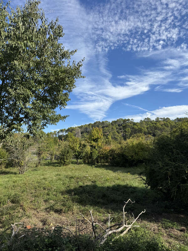 Terrain à CARNOULES