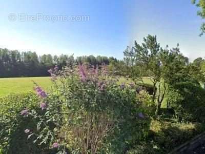 Terrain à SAINT-ANDRE-D&#039;HEBERTOT