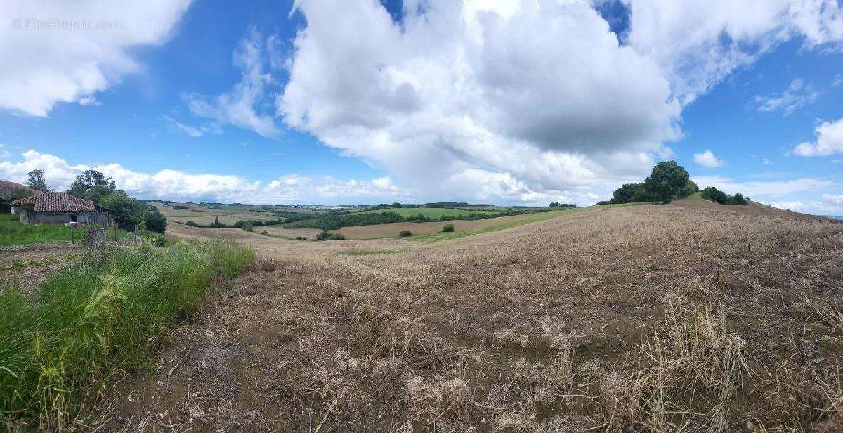 Terrain à BEAUMONT-DE-LOMAGNE