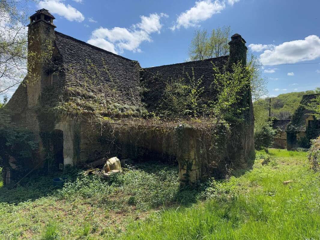IMG2129 - Maison à BEYNAC-ET-CAZENAC