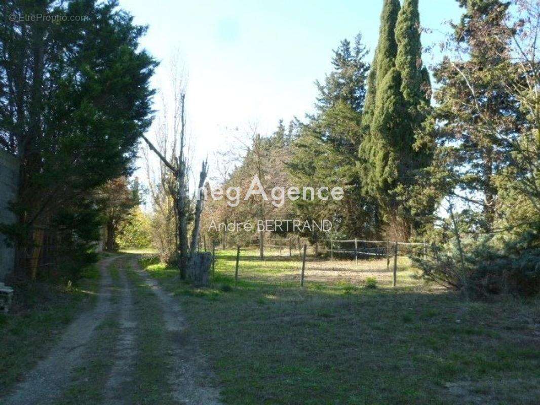 Maison à COLOMBIERS