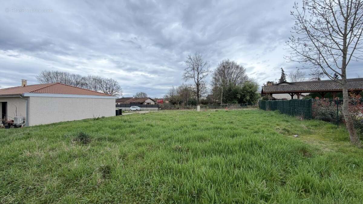 Terrain à SAINT-NIZIER-LE-DESERT