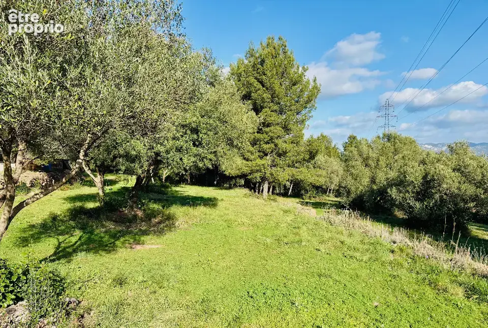 Terrain 649 m² à Ollioules  - photo 3