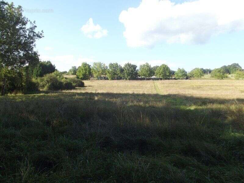 Photo 4 - Terrain à ISSAC