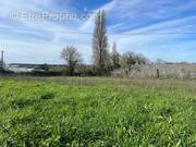 Terrain à LA GARNACHE