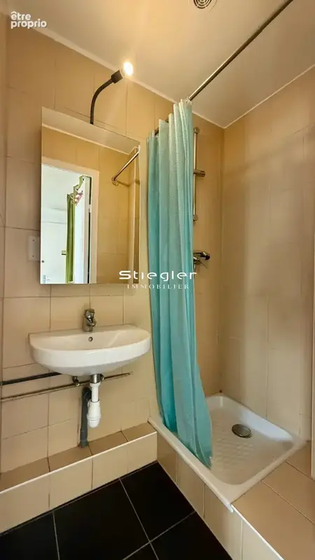 Appartement 2 pièces 27 m² à vendre à Strasbourg (67000) - photo 8