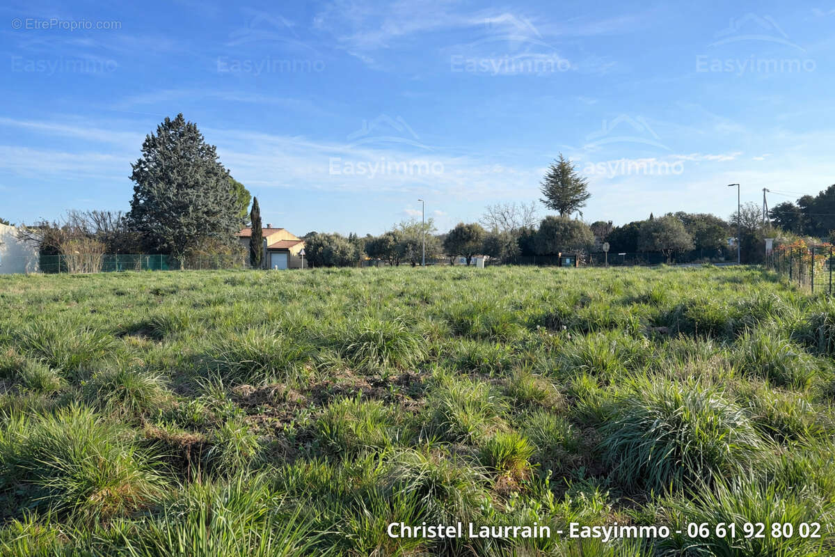 À VENDRE   Superbe terrain à Régusse (Haut-Var) - photo 3