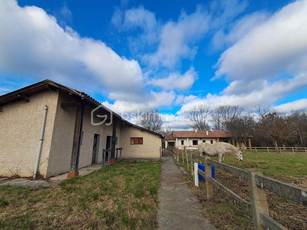 Maison à SAINT-GAUDENS