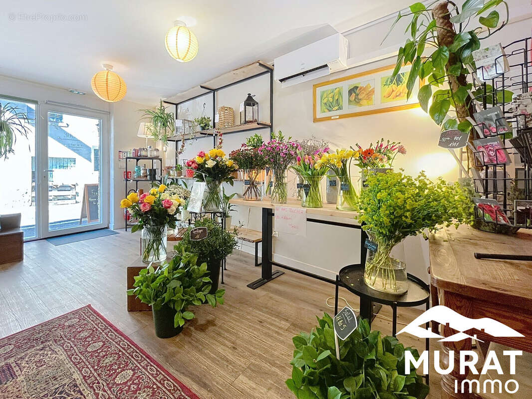 Autre à SAINT-AMANT-TALLENDE