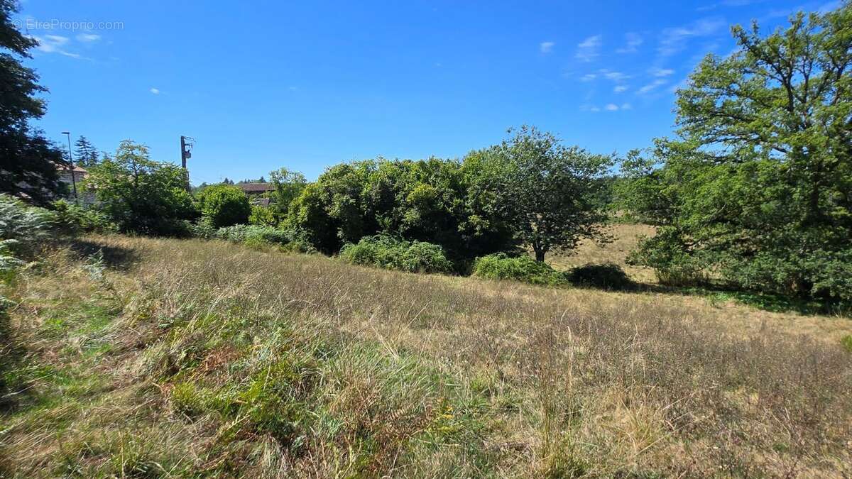 Terrain constructible  + agricole - environnement campagne - photo 2