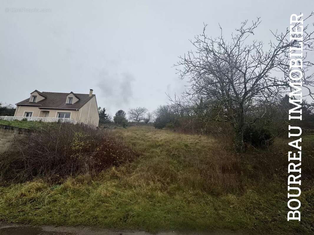 Terrain à VILLECIEN