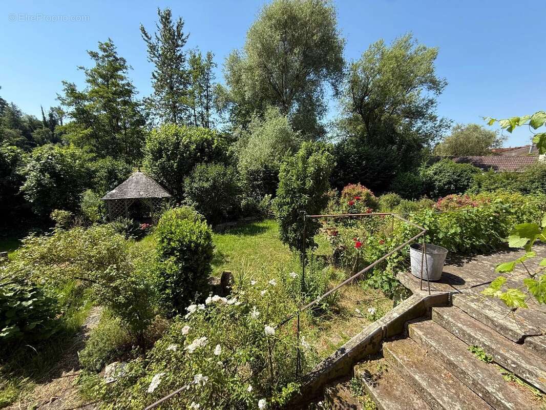 Magnifique manoir original dans un grand village avec toutes les commodités, situé au bord de la Saône - photo 11