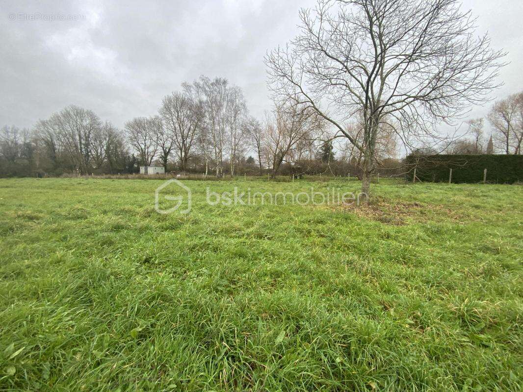 Terrain à SAINTE-ANNE-SUR-BRIVET