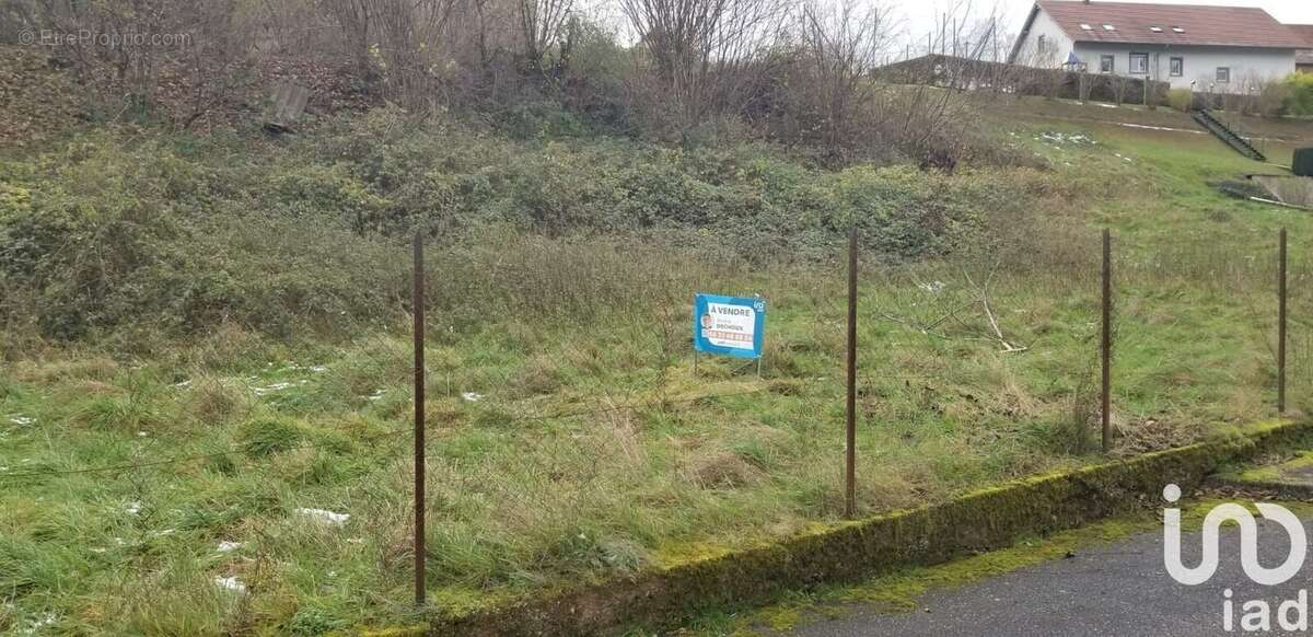 Photo 5 - Terrain à SCHORBACH