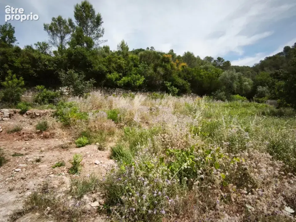 Terrain 1 017 m² à vendre à Belgentier (83210) - photo 2