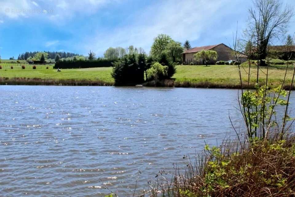 Propriété de charme avec lac, prairie, piscine et dépendances - photo 2