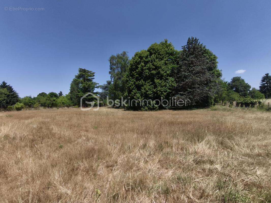 Terrain 4330 m² à Saint-Gondon  - photo 5