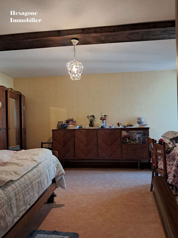 Maison à CHATILLON-SUR-LOIRE