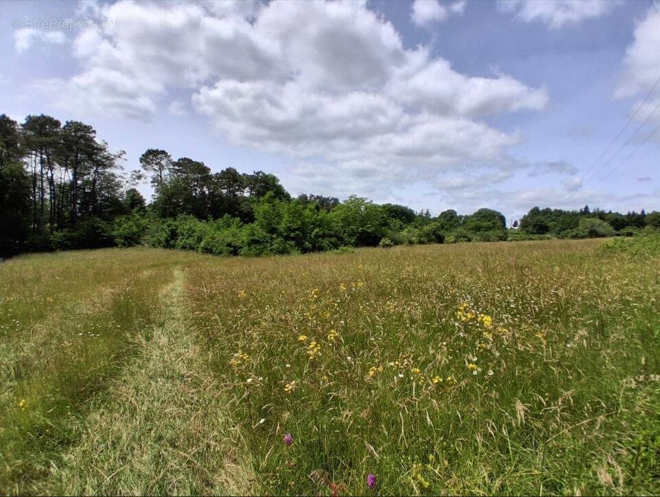 Terrain à MONTAGNAC-LA-CREMPSE