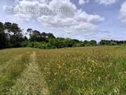 Terrain à MONTAGNAC-LA-CREMPSE