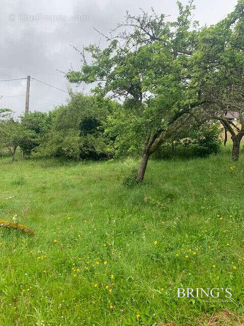 Terrain 682 m² à Laveline-Devant-Bruyeres  - photo 2