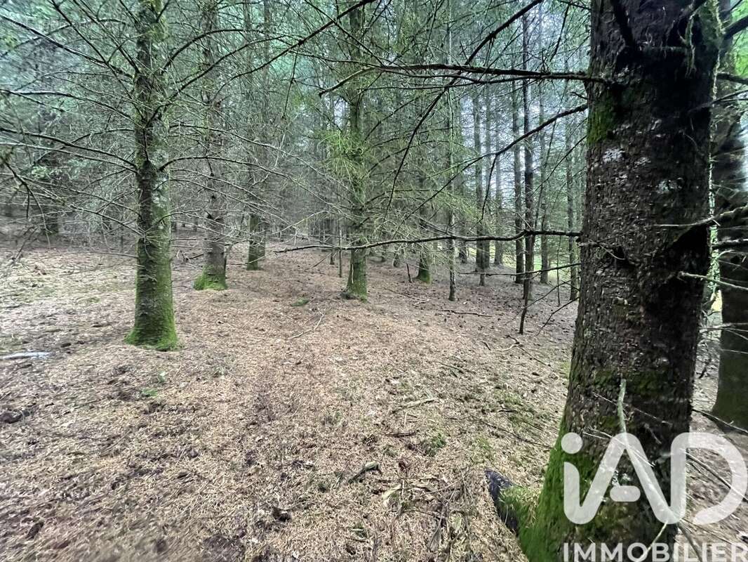 Photo 7 - Terrain à NEDDE