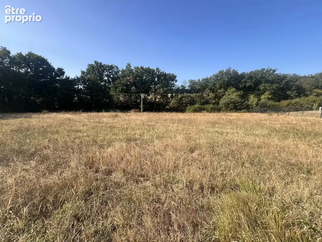 Terrain de 2736 m2 gimont - photo 7