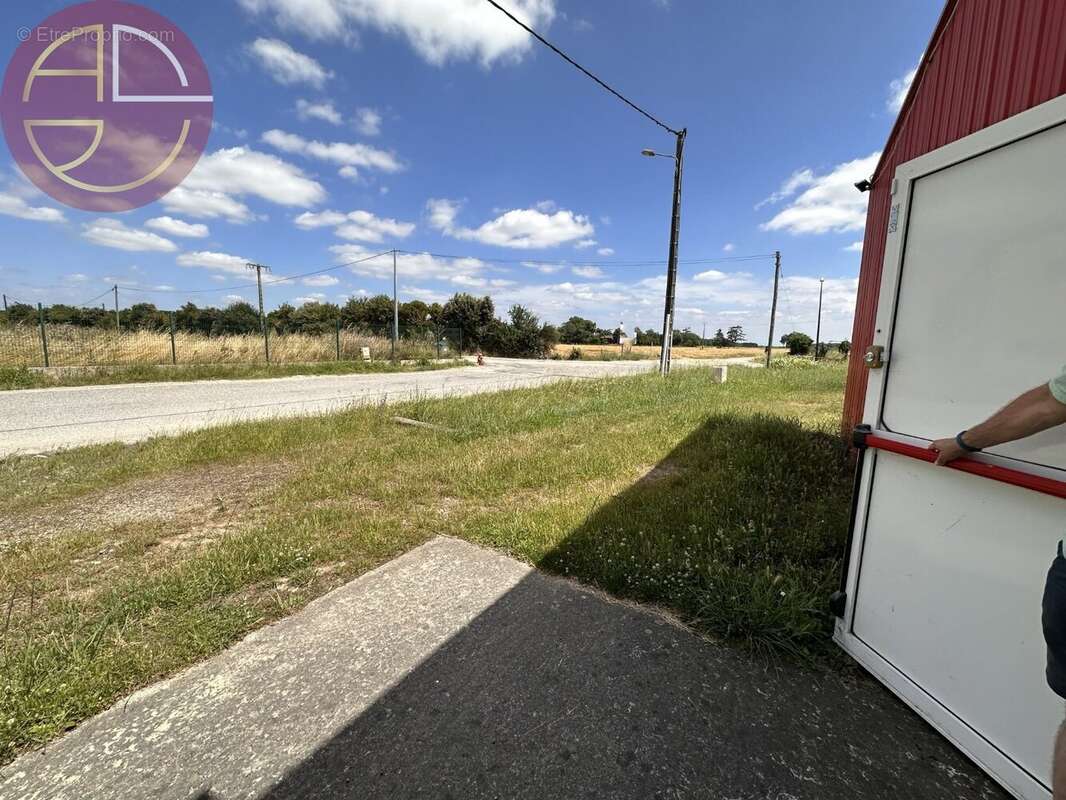 Commerce à CINTEGABELLE