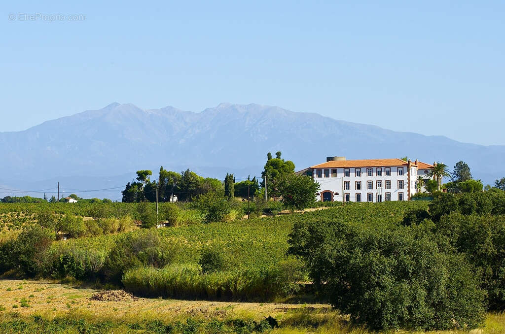 Maison à PERPIGNAN