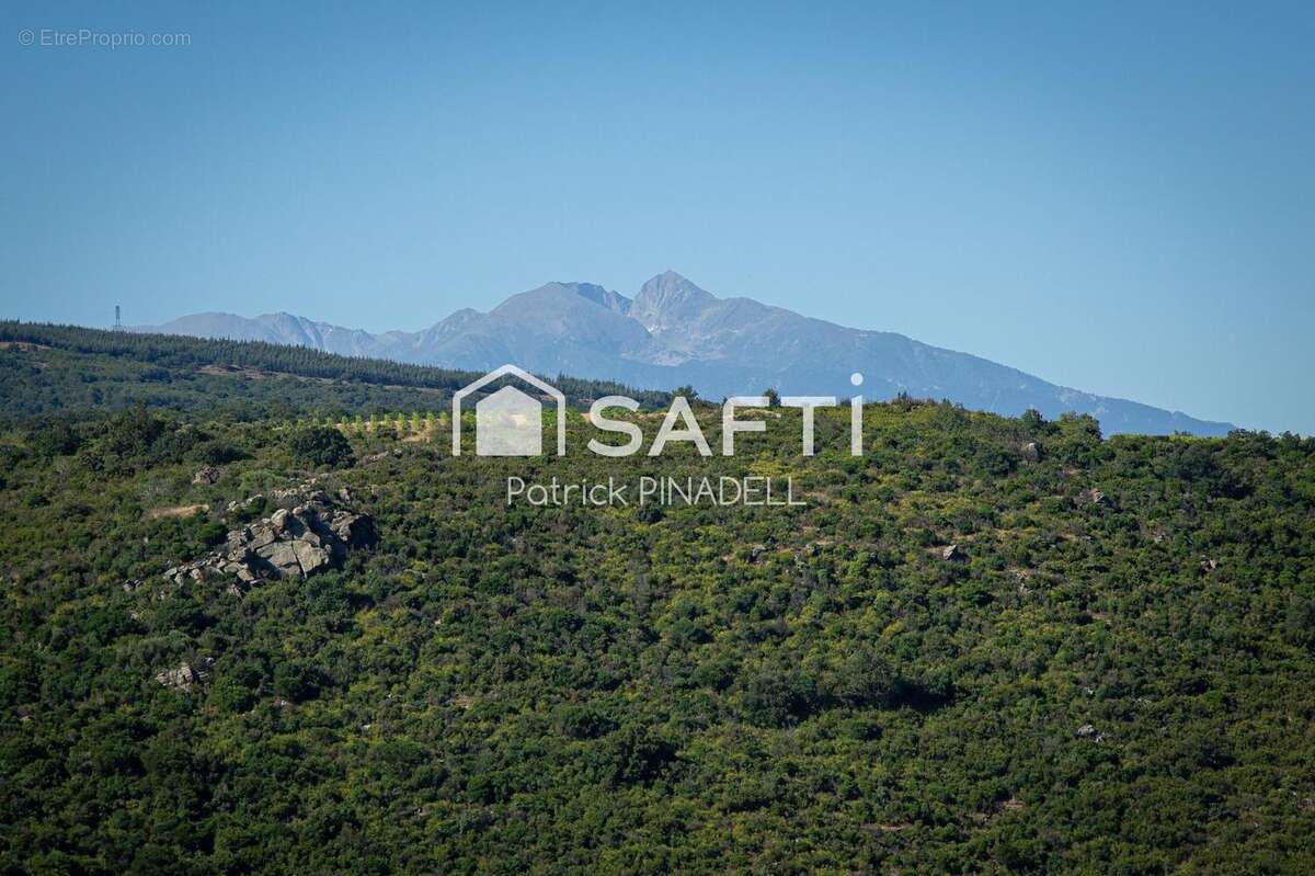 Photo 8 - Commerce à LATOUR-DE-FRANCE