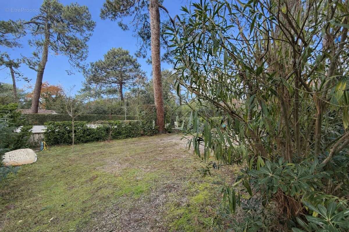Appartement à LE BOUSCAT