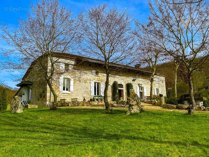 Domaine équestre d’exception sur 40 hectares — Authenticité, nature et passion proche de Penne d’Agenais (47) - photo 2