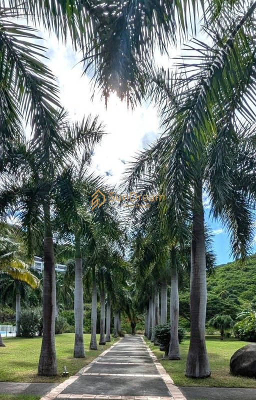 Appartement à SAINT-MARTIN