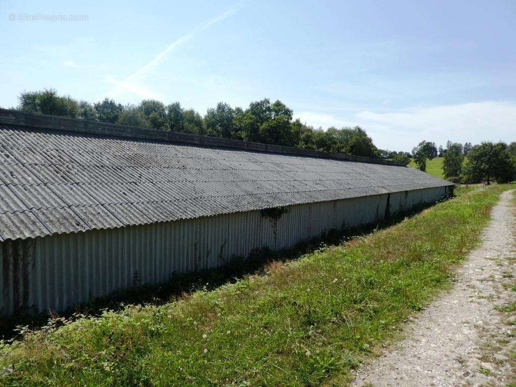Exploitation agricole - photo 21