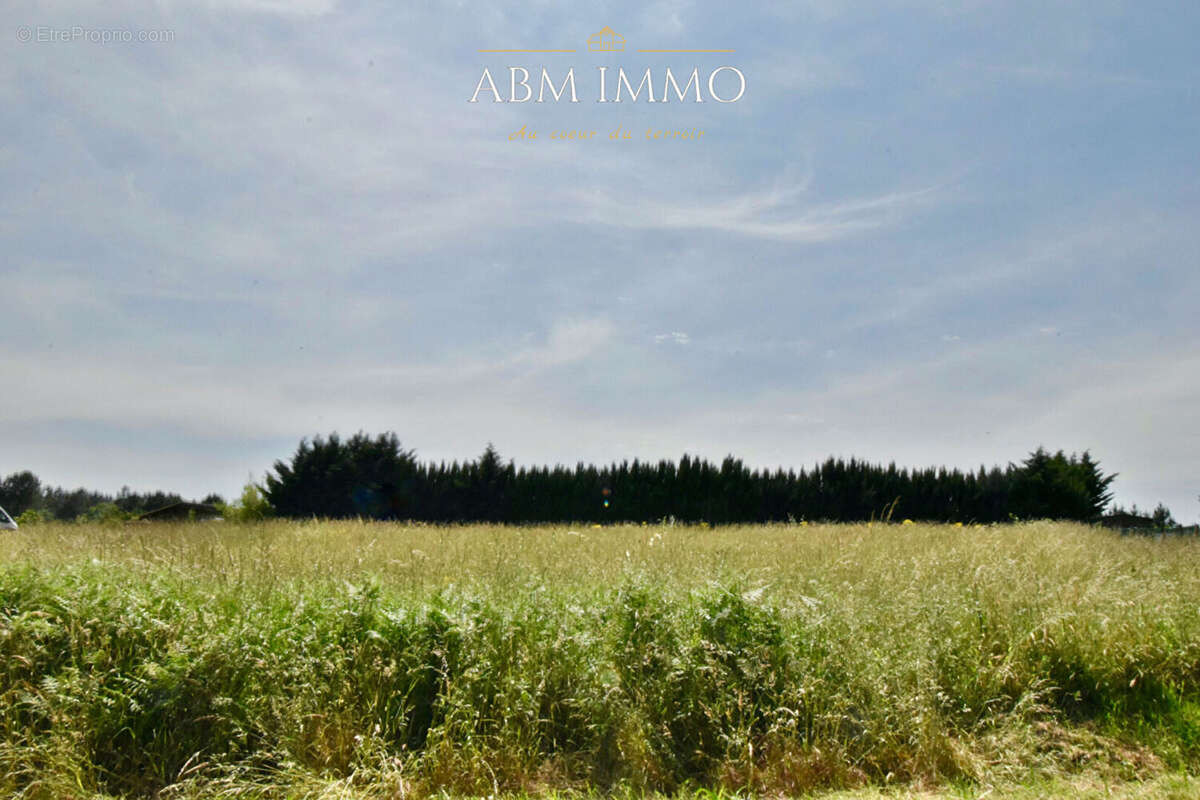 Terrain à SAINT-JULIEN-DE-CREMPSE