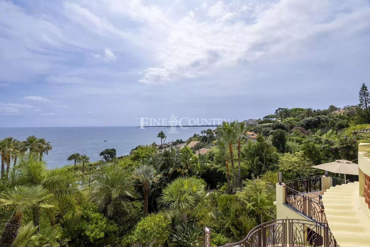 Vente Villa Art Deco, Cannes Californie - photo 5