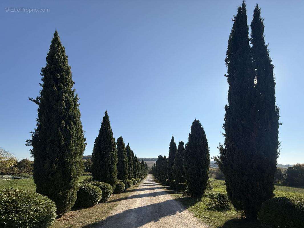 Maison à VIC-FEZENSAC