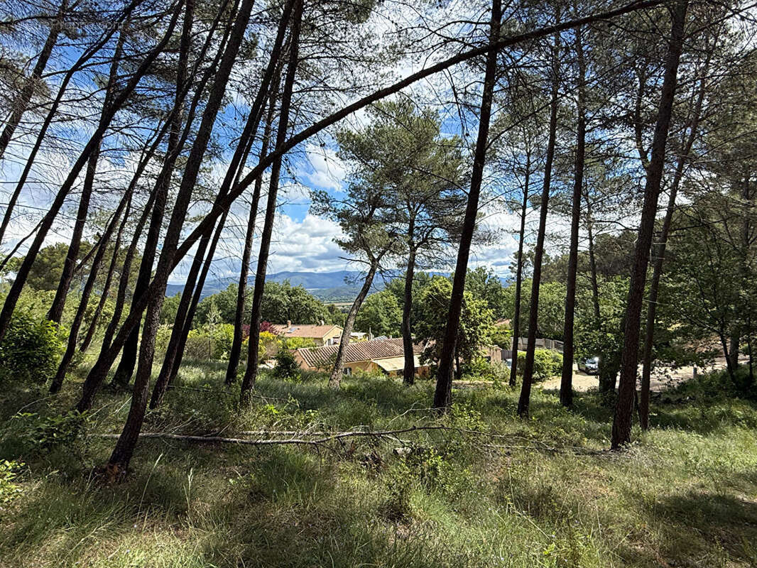 Terrain à LA ROQUE-D'ANTHERON