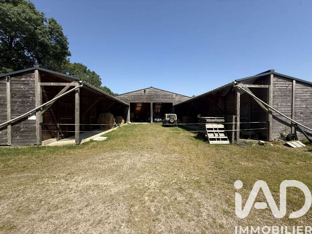Photo 3 - Maison à LIGNE