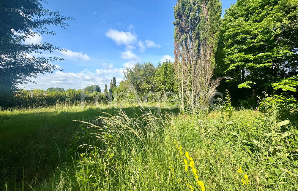 Terrain à VAUX-SUR-MER