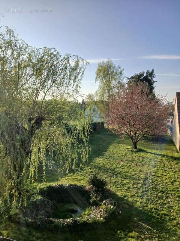 Photo 9 - Maison à LAON