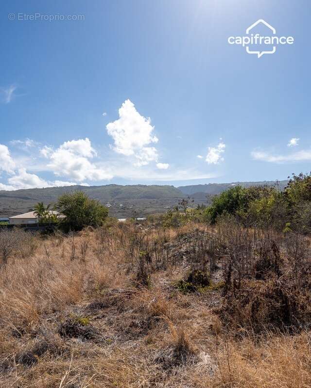 Terrain à LES TROIS-BASSINS