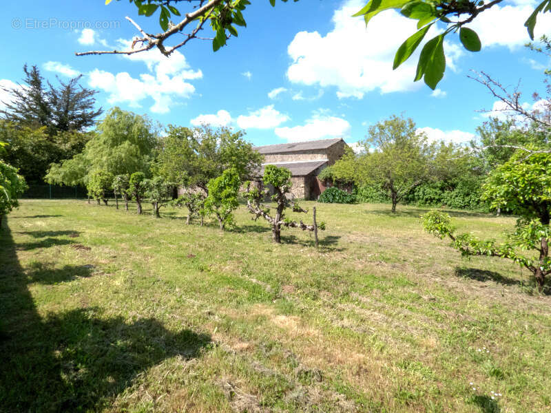 Maison à SAINT-VINCENT-SUR-GRAON