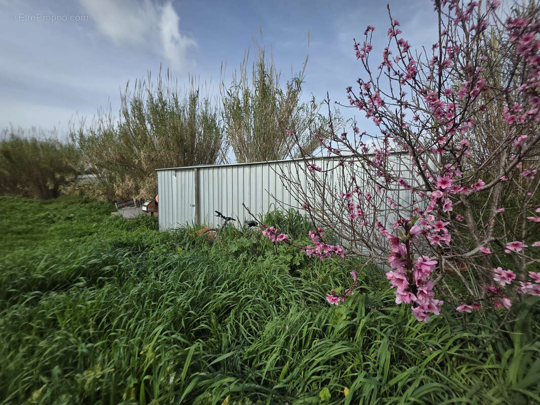 Terrain à VILLELONGUE-DE-LA-SALANQUE