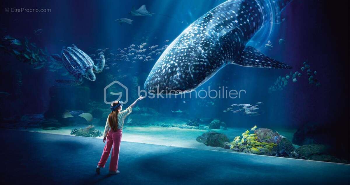 Appartement à BOULOGNE-SUR-MER