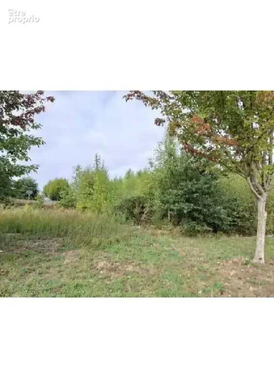 Terrain 1 406 m² à vendre à Pontivy (56300) - photo 3