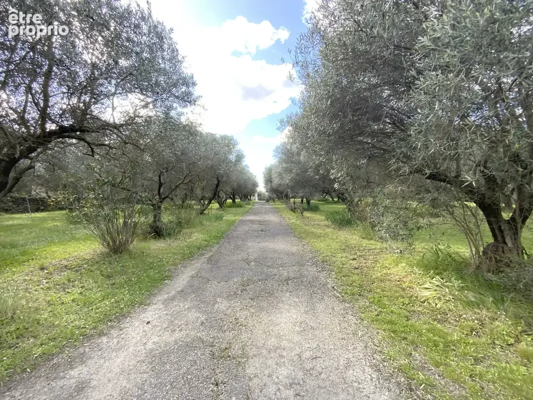 A quelques pas de la place aux herbes magnigique terrain de 7300 m2 constructible. - photo 2